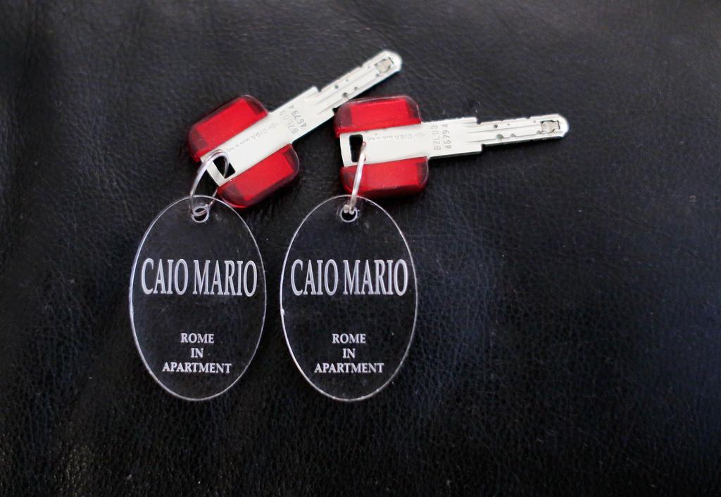 Caio Mario Apartment ローマ エクステリア 写真